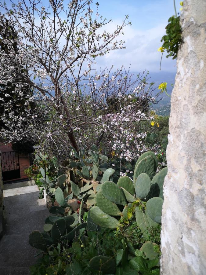 Vila Casa Opuntia Pappaygiannades Exteriér fotografie